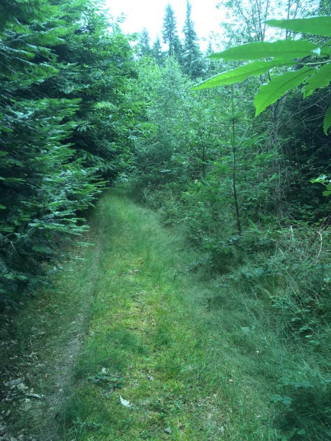 Foret Enchantee De Bourgogne La Celle-En-Morvan Luaran gambar