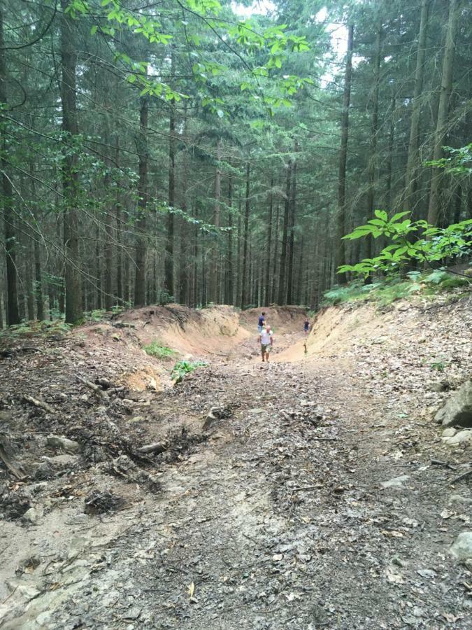 Foret Enchantee De Bourgogne La Celle-En-Morvan Luaran gambar